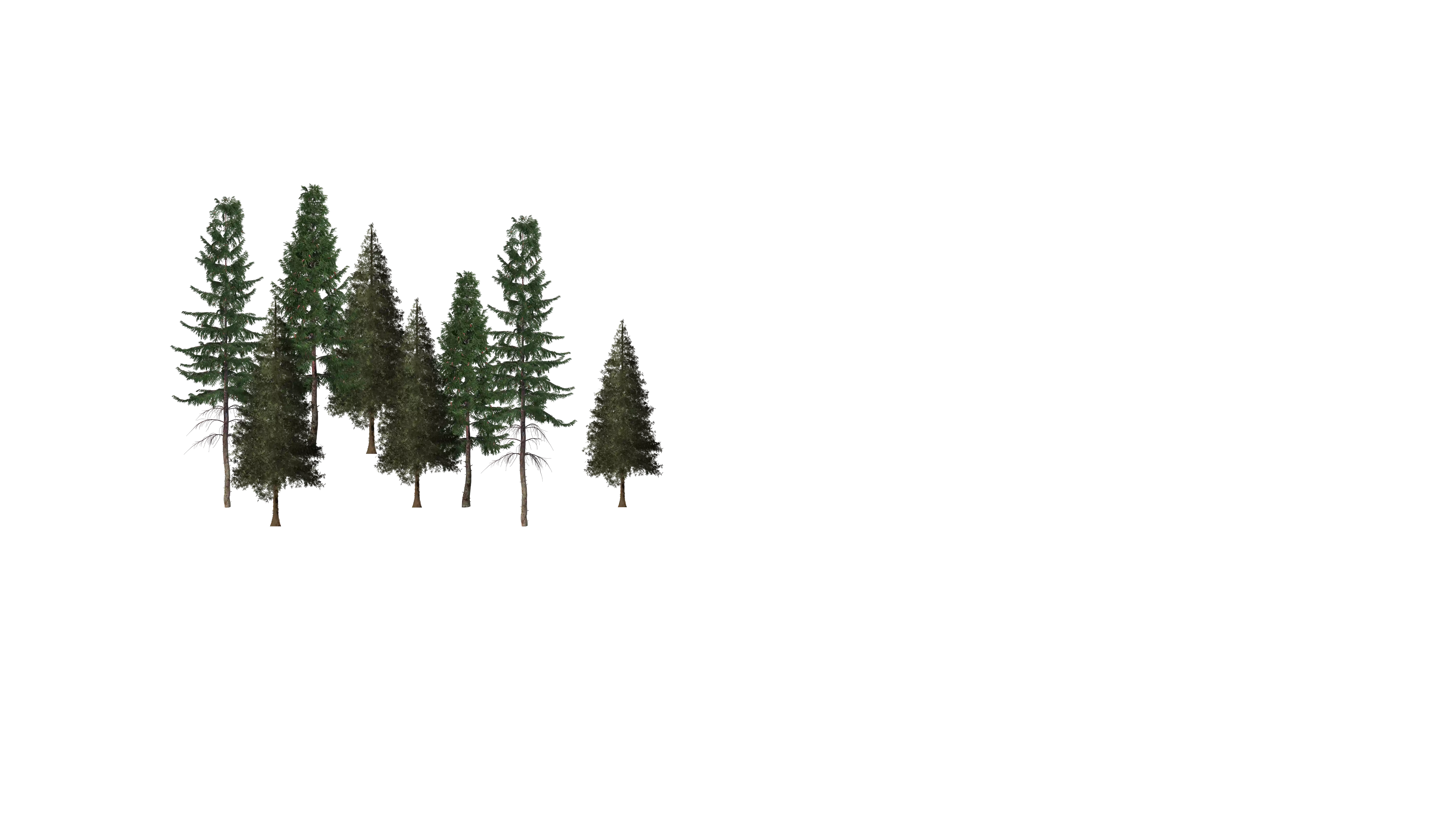 Pinos