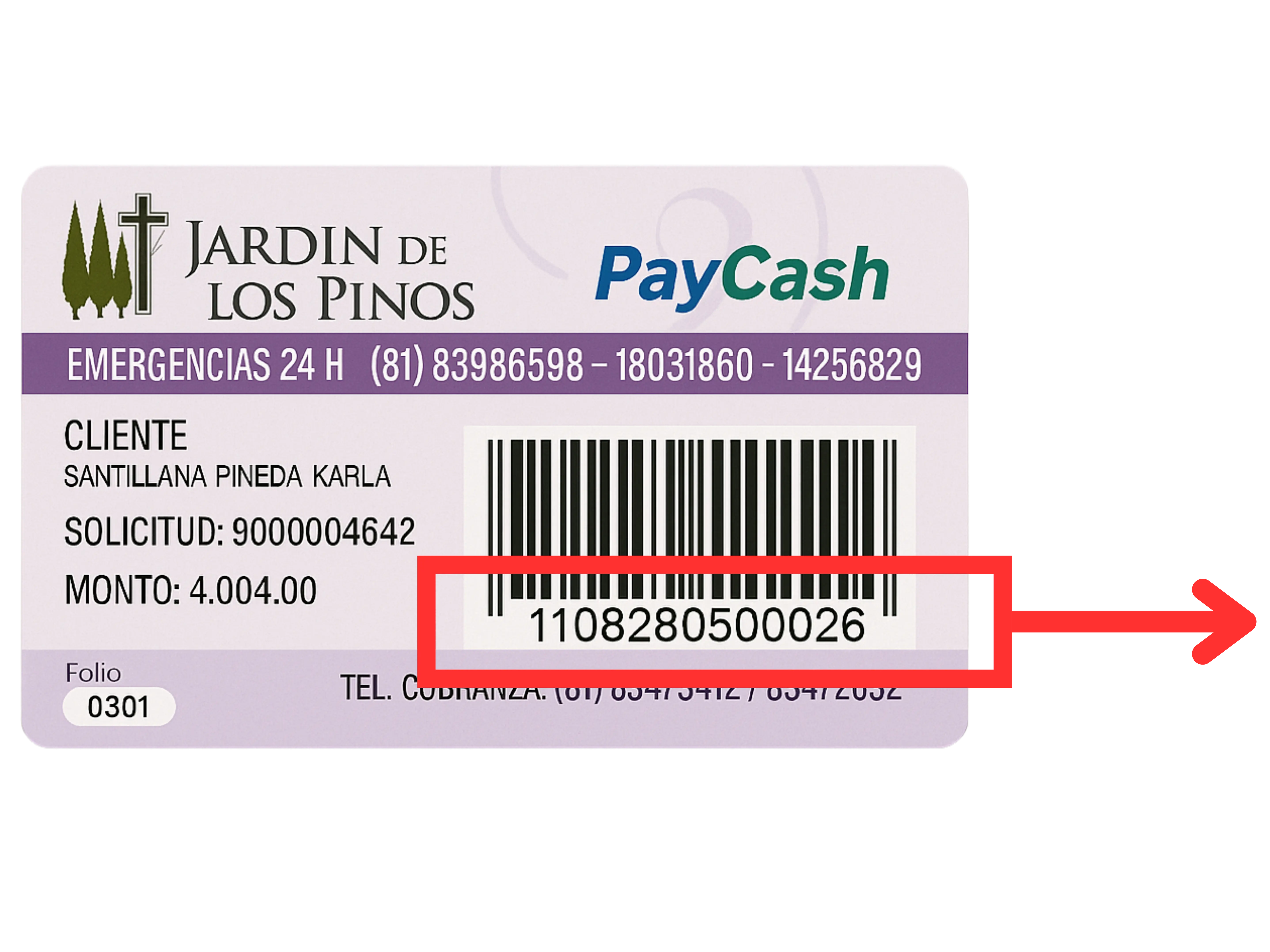 Referencia 1
